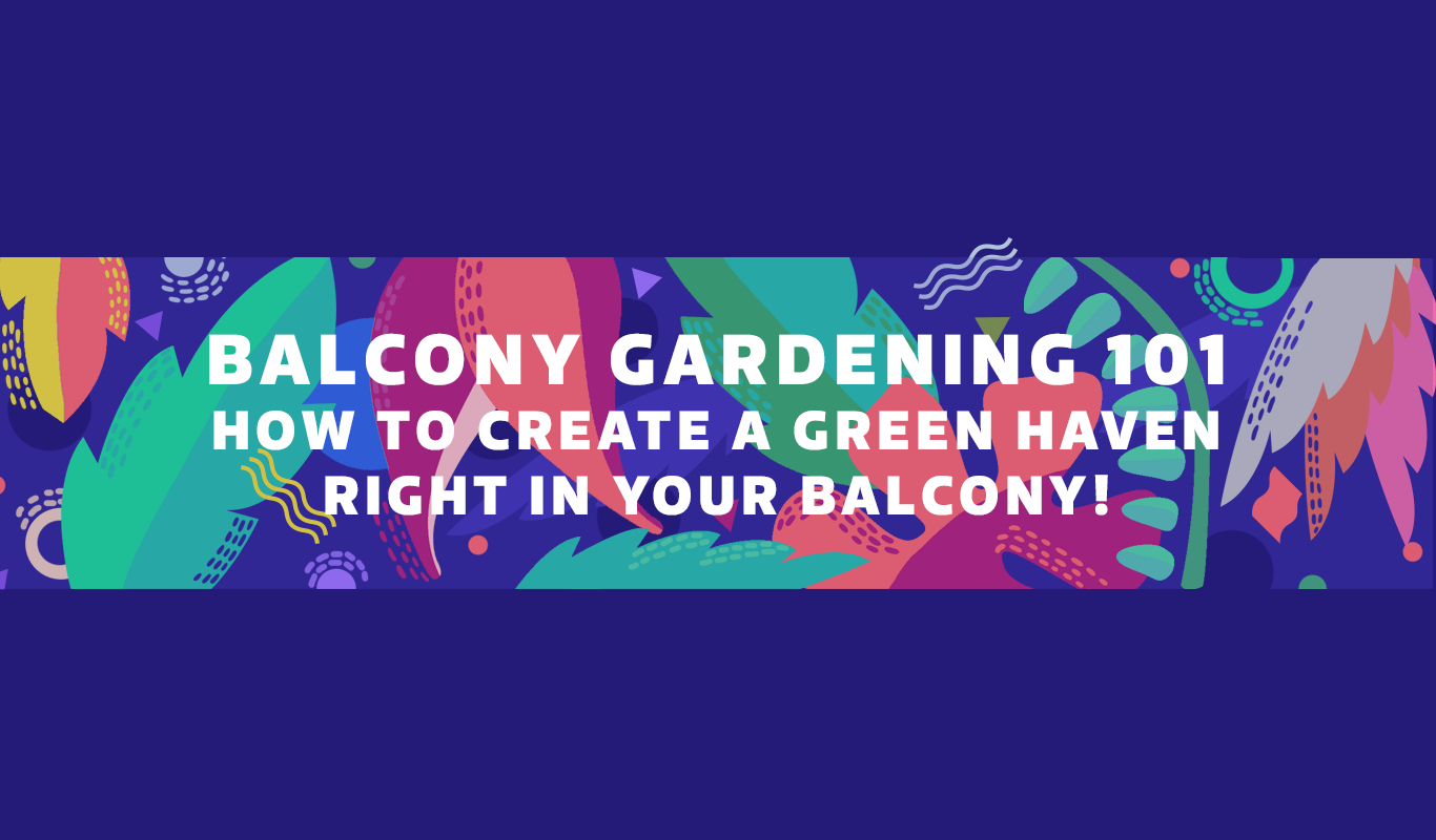 Infographic: How to plant an awesome balcony garden